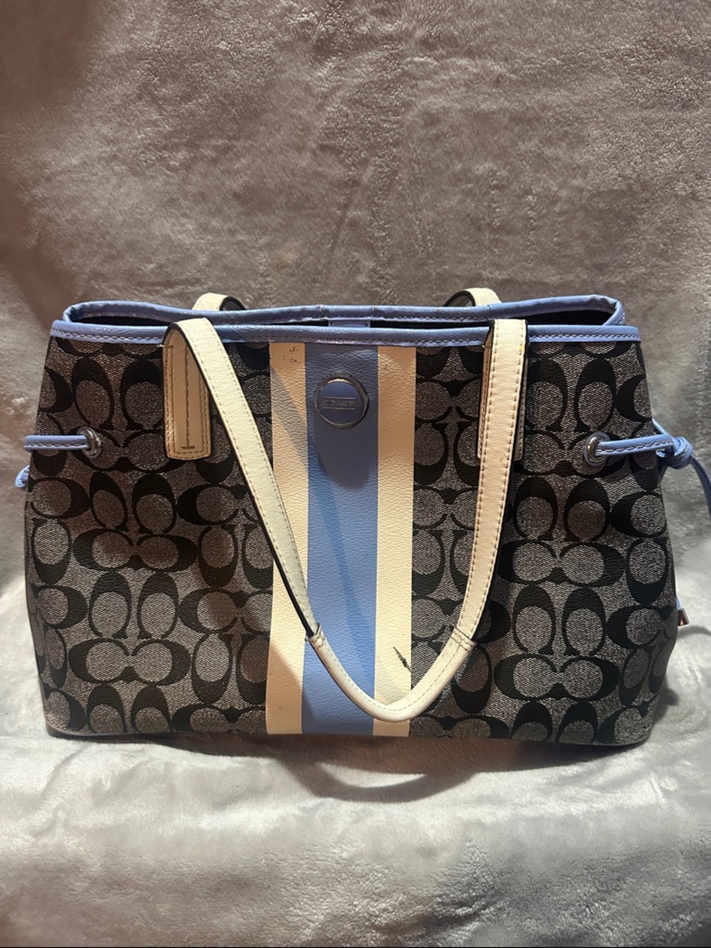 Coach Canvas Signature Tote with Blue and Cream Center Stripe